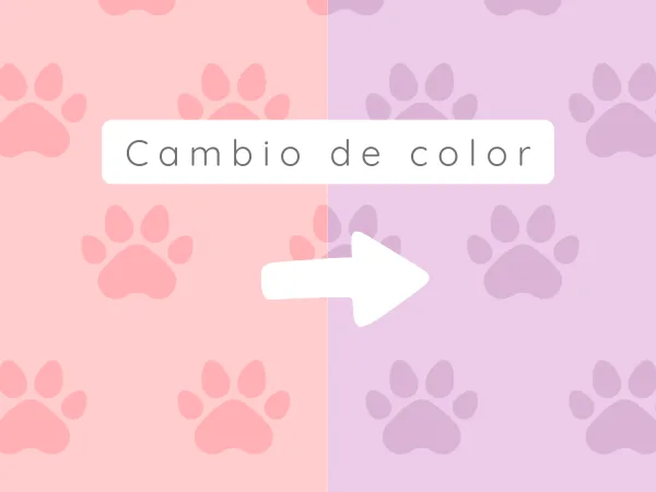 Opción de cambio de color en cualquiera de las temáticas.